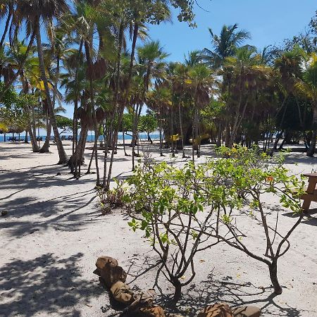野兰花别墅 Placencia 外观 照片