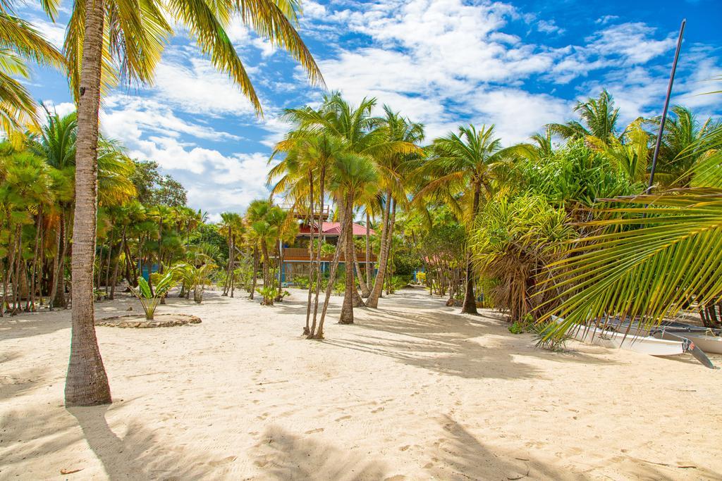 野兰花别墅 Placencia 外观 照片