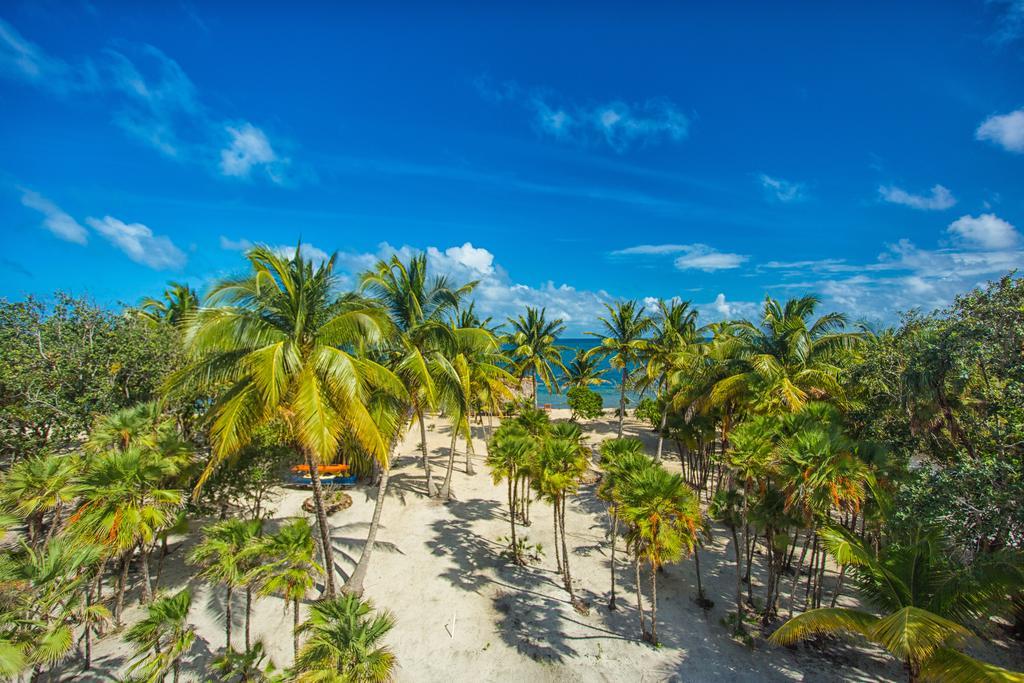 野兰花别墅 Placencia 外观 照片
